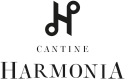 logo dark